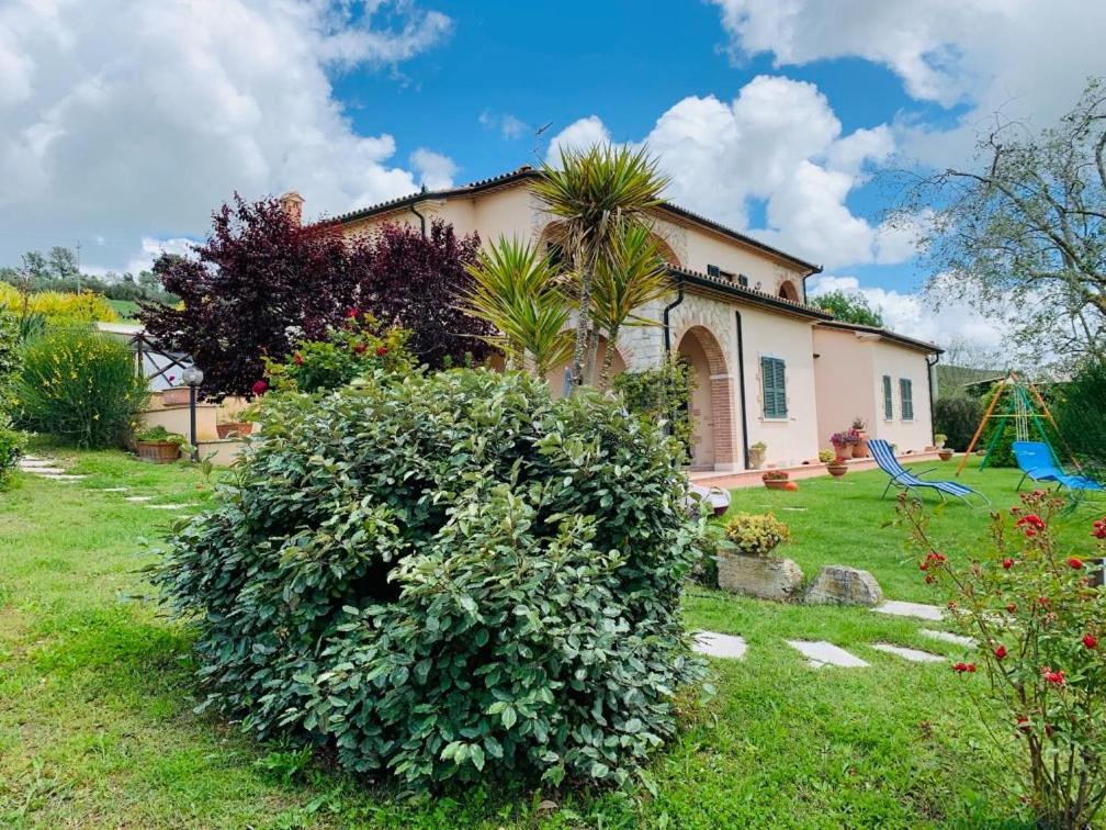 8380 Agriturismo L'Oleandro Montemerano Exterior foto
