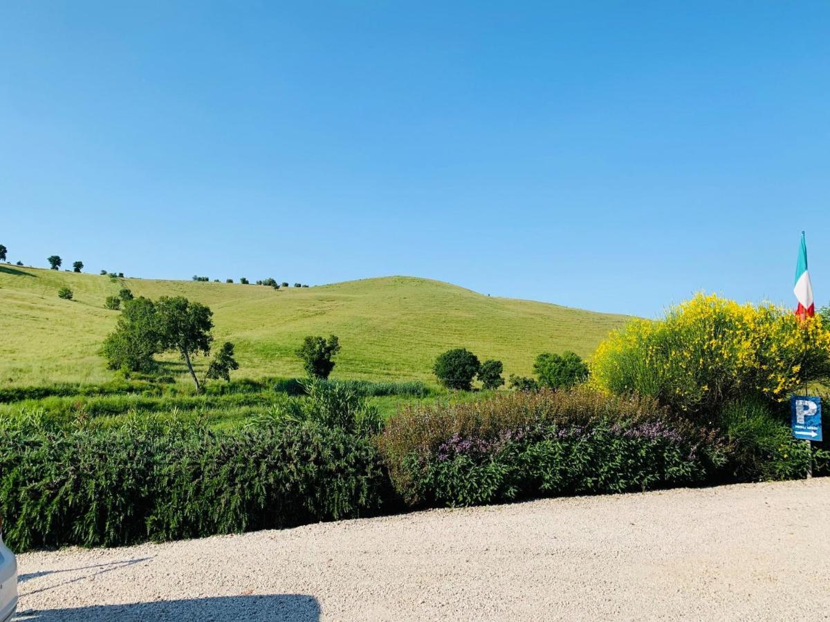 8380 Agriturismo L'Oleandro Montemerano Exterior foto