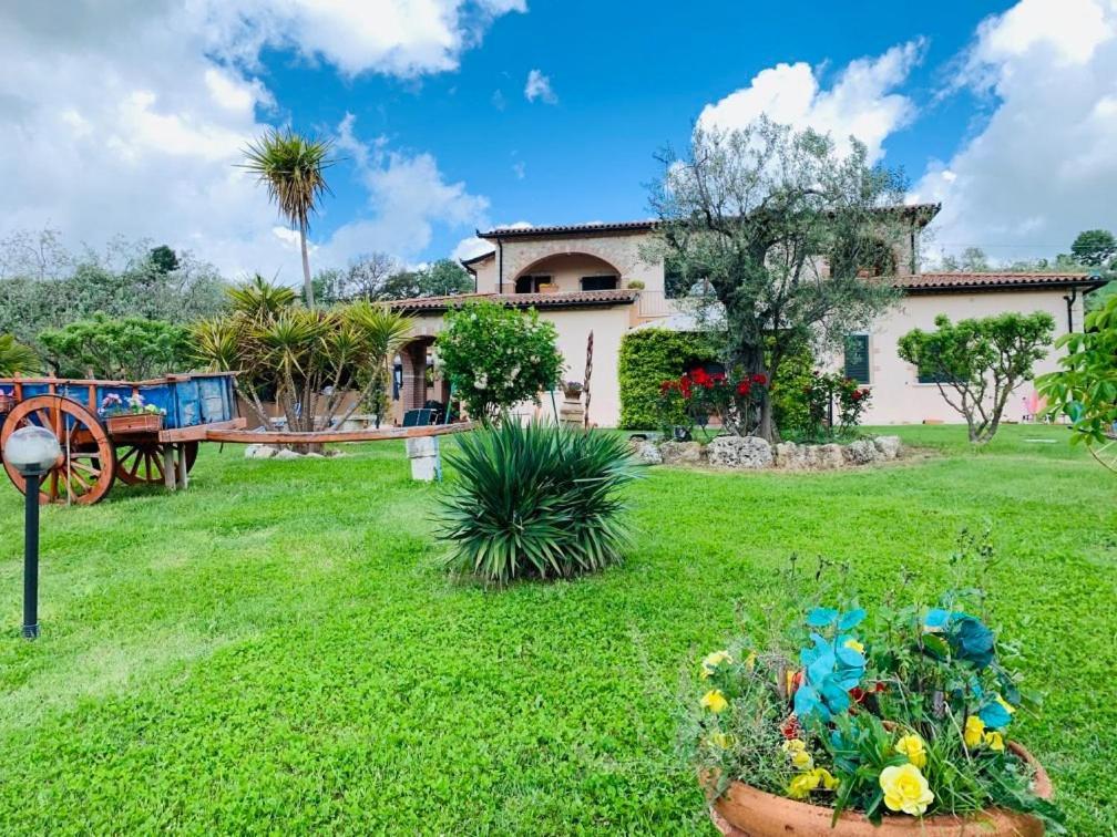 8380 Agriturismo L'Oleandro Montemerano Exterior foto